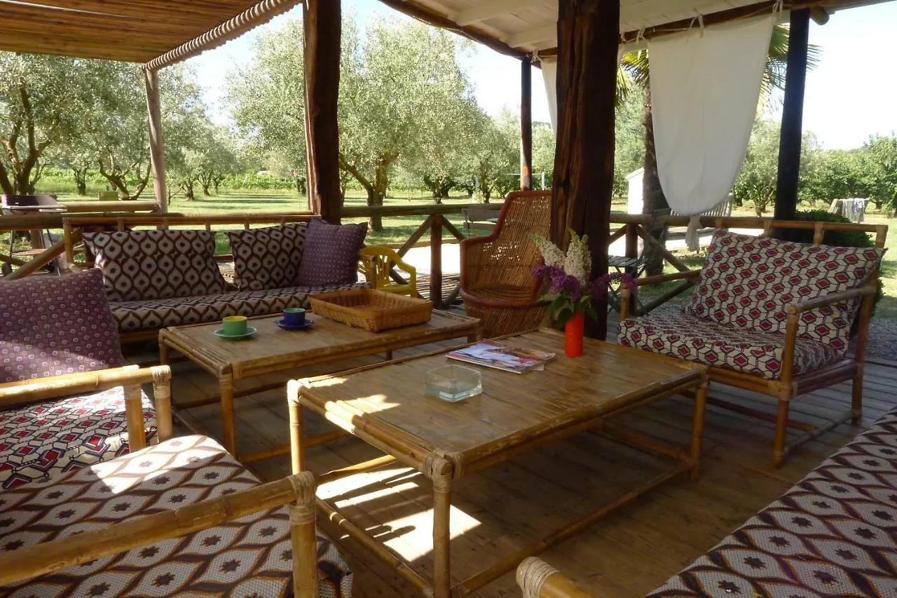 Holiday home Les Piegonnaises - Deux Luxueuses Roulottes Et La Cabane En Drome Provencale